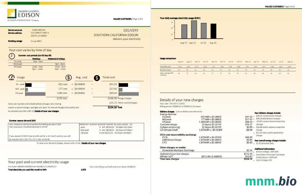 USA Southern California EDISON rachunek za media, Word i PDF template, 8 strony 3 4